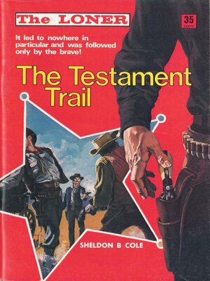 cover image of The Testament Trail